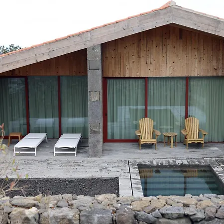 Pico Vineyards - By Unlock