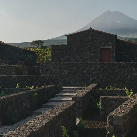 Pico Vineyards - By Unlock 4* Bandeiras