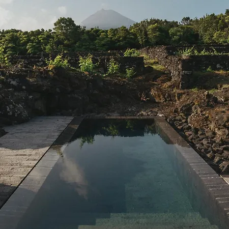 ホテル Pico Vineyards - By Unlock Bandeiras