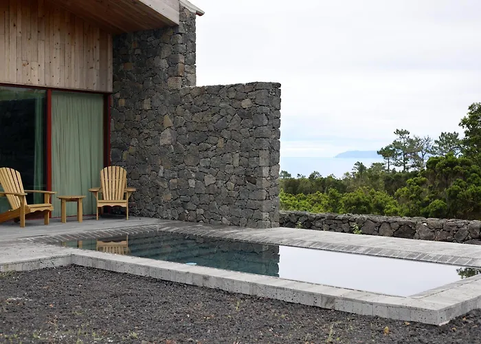 Pico Vineyards - By Unlock