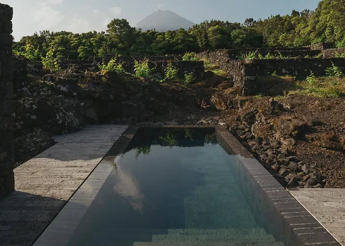 Otel Pico Vineyards - By Unlock Bandeiras