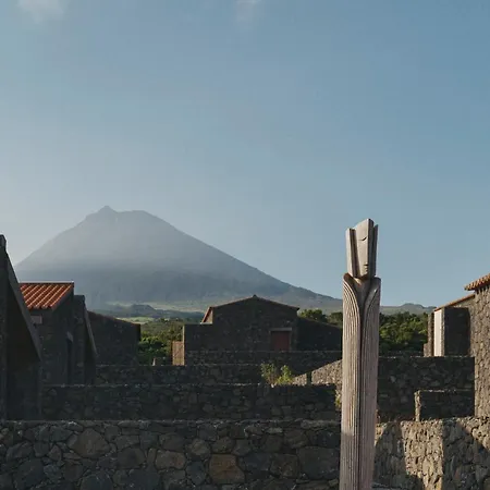 Pico Vineyards - By Unlock Hotel