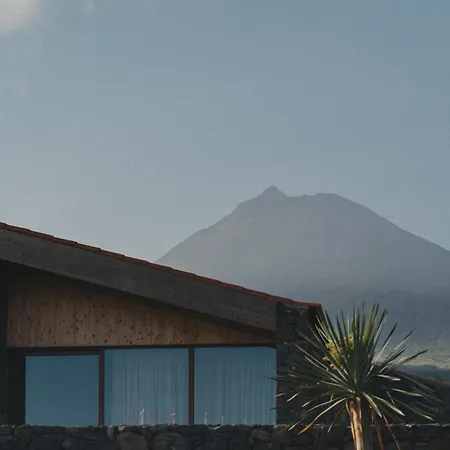 Pico Vineyards - By Unlock 호텔